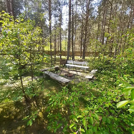 Qubalonka Saunarium Bory Tucholskie